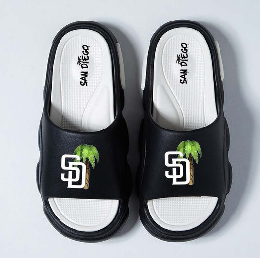 SAN DIEGO CITY SLIDES